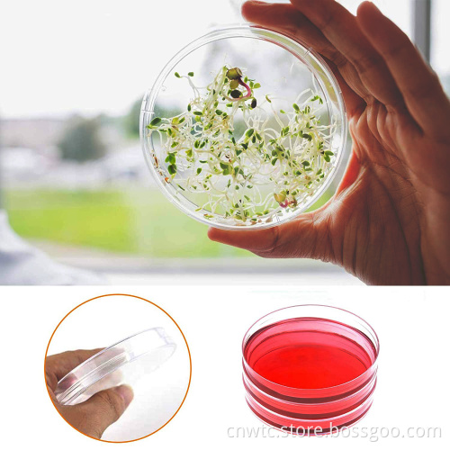 High Boro3.3 Glass Petri Dish Sizes: 60mm, 90mm, 100mm, 120mm, 150mm - Laboratory Disposables Glassware Collection